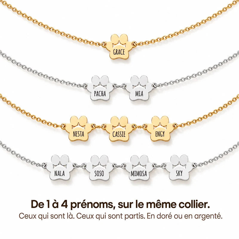 Le Collier Patte d'Amour - Gravé à son prénom